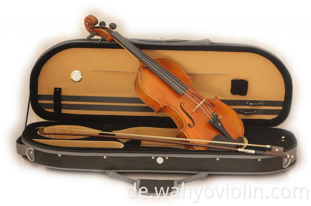 Custom Foam hard violin case